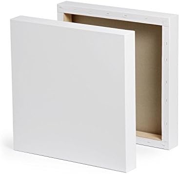 Toucan Professional Artist Premium Quality Pre-Stretched Canvas Frame Triple Gesso Primed Deep Edge 100% Cotton White Blank Canvases Box Framed 280 GSM All Sizes 38mm Depth. (20 x 20cm(8x8")