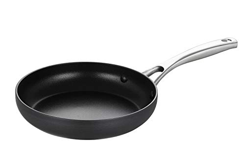 EPPMO 8 Inch Hard-Anodized Aluminum Fry Pan,Nonstick Frying Pan,Stainless Steel Handle, Dishwasher & Oven Safe (8 Inch Fry Pan)