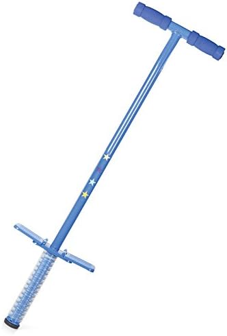 blue teddy bear roses