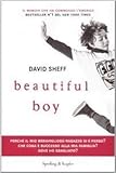 Beautiful Boy: A Father's Journey Through His Son's Meth Addiction by David Sheff (2008-05-04)