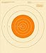25 Yard Slow Fire Pistol Target, Official NRA Target B-16, Bullseye Target, Archery, Gun, Rifle, Pistol, Airsoft, BB Gun, Air Rifle