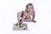 Edushape Baby Drum