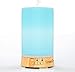 GreenFresh Essential Oil Diffuser - Best Essential Oil Diffuser with Four-In-One Versatility and Seven LED Light Choices - Works Great as a Fragrance Lamp, Air Purifier, Humidifier, or Nightlight