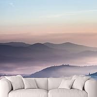 Wall Mural Foggy Forest Removable Self-Adhesive Wallpaper Wall Decoration for Bedroom Living Room - 66x96 inches