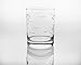 Rolf Glass School of Fish 13oz Double Old Fashioned Glass | Whiskey Glass Set of 4 | Lead-Free Glass | Engraved Tumbler Glasses | Designed and Engraved in the US