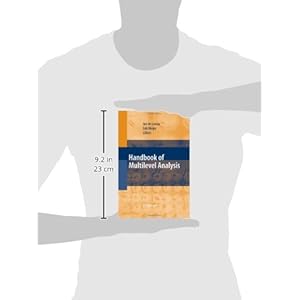 Handbook of  Multilevel Analysis