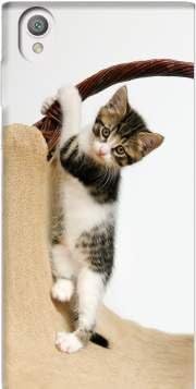 Mobilinnov Coque Sony Xperia L1 En Silicone Avec Design Bebe Chat Mignon Chaton Escalade Amazon Fr High Tech