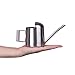 IMEEA Tiny Watering Can for Indoor Plants Bonsai Tree Stainless Steel Small Watering Can Succulents, 11oz/300ml