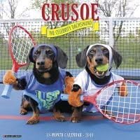 Quality 2019 Caruso The Celebrity Dachshund Calendar with Free Rock Music MEMOROBILIA (Key Chain, Pen,Magnet,Card ETC.) Calendar Planner,Calendar Wall,Pocket, Monthly,DO IT All,Gallery Edition