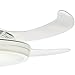 Hunter Fanaway Indoor Ceiling Fan with Lights and Remote Control, 48