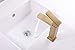 Gold Bathroom Faucet Single Handle with Supply Hoses,Solid Brass Body (Brushed Gold)