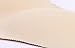 Sunward Women Padded Hip Enhancer Shaper Panties(M, Flesh)