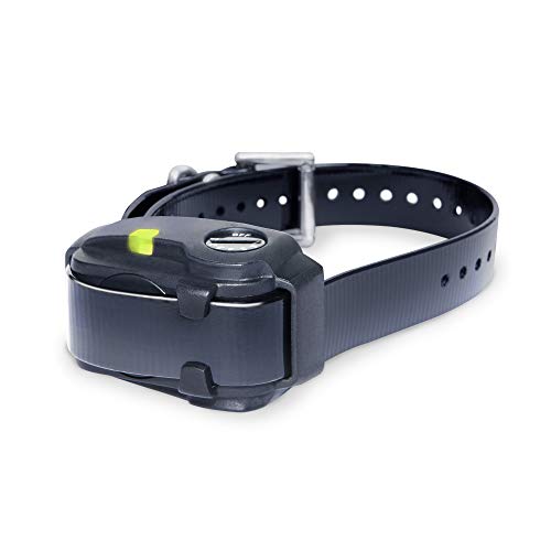 Dogtra YS200 Replaceable Battery Waterproof Compact No Bark Collar