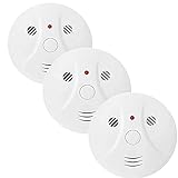 3 Pack Smoke and Carbon Monoxide Detector Battery