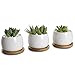 6pcs Bamboo Round Plant Saucer Flower Pot Tray for Cactus Plant Pot Flower Pot Container Planter Bonsai Pots,no Plants Potthumb 3