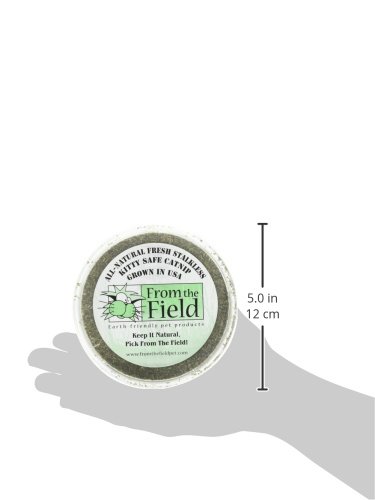 From The Field 2-Ounce Catnip Kitty Safe Stalkless Tub