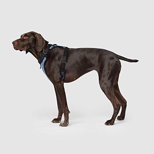 canada pooch no pull harness