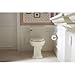 KOHLER K-6669-96 Memoirs Stately Comfort Height Elongated 1.28 GPF Toilet with Aqua Piston Flush Technology, Concealed Trap Way and Left-Hand Trip Lever (2 Piece), Biscuit
