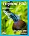 Tropical Fish by Peter Stadelmann