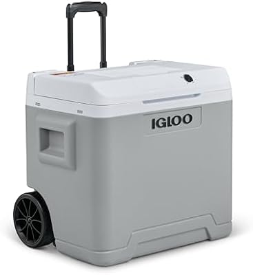 IE42 Nevera Eléctrica, 12V y 230V, 42L – Mini Frigorífico Compacto para Coche, Camping, Viajes, Barco y Festivales – con Ruedas, Asa Telescópica, Compartimento para Cables y Modo Eco/MAX