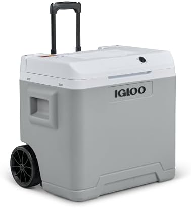 IE42 Frigo Elettrico, 12V e 230V, 42L – Mini Frigorifero Compatto per Auto, Campeggio, Viaggi, Barca e Festival – Con Ruote, Maniglia Telescopica, Vano Portacavo e Modalità Eco/Max