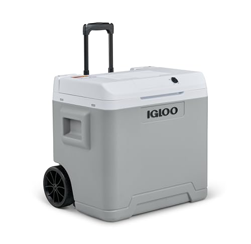 IE42 Frigo Elettrico, 12V e 230V, 42L – Mini Frigorifero Compatto per Auto, Campeggio, Viaggi, Barca e Festival – Con Ruote, Maniglia Telescopica, Vano Portacavo e Modalità Eco/Max