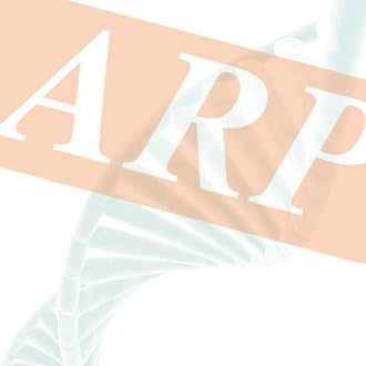 Growth hormone releasing peptide-Ghrelin, GHRP-Ghrelin, Monkey, ELISA Kit