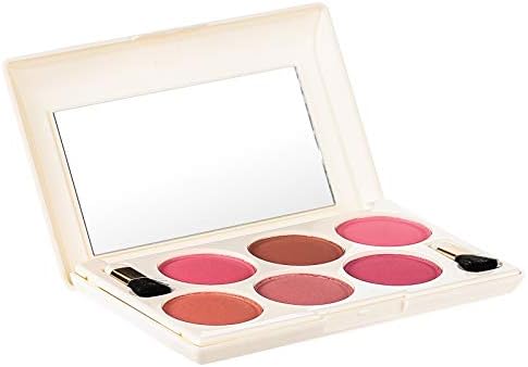 just gold blush palette