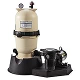 Pentair PNEC0060OE1260 EasyClean Aboveground Cartridge Pool and Spa D.E. Filter System, 1 HP