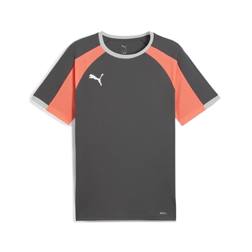 PUMA Individual T-shirt LIGA Man