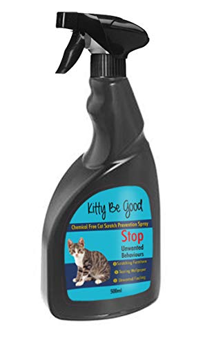 stop cat scratching wallpaper