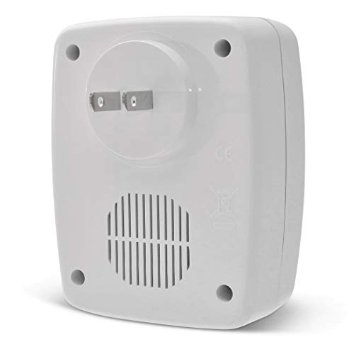 Plixio Portable Odor Eliminating Mini Plug-in Ionic Air Purifier & Ozone Generator with Timer for Home or Office (Certified Refurbished)
