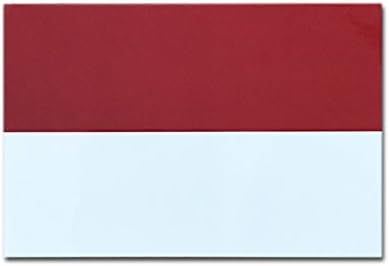 Amazon インドネシア 国旗 ステッカー スーツケース 車 にも貼れる 屋外 対候 防水 シール M 約90mmx60mm シール ステッカー おもちゃ