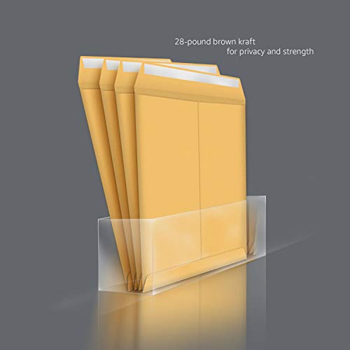 Amazon Basics Catalog Mailing Envelopes, Peel & Seal, 6x9 Inch, Brown Kraft, 100Pack Pricepulse
