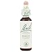 Bach Original Flower Remedies, Holly - Goodwill Towards Others - Natural Homeopathic Flower Essence for Emotional Balance - Vegan, Gluten Free, Sugar Free - 20mL Dropper