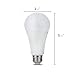 Smart Light Bulb, Smart Wi-Fi LED Bulb Glass Vintage Edison Light, A19, Dimmable, Soft White 2700K, No Hub Required, Compatible with Alexa and Google Assistant, 2 Pack