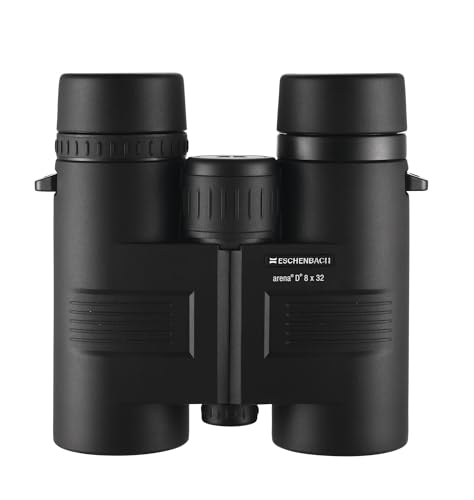 View 4