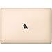 Apple MacBook MK4M2LL/A 12-Inch Laptop with Retina Display 256GB (Gold) - (Renewed)