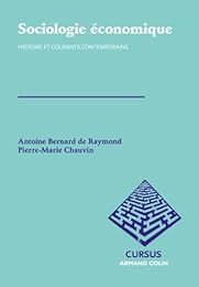 Sociologie économique