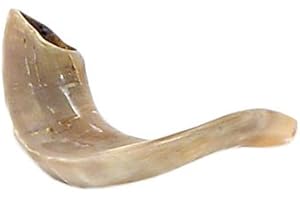Shofar Kosher Ram Horn 8-9"