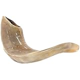Shofar Kosher Ram Horn 8-9