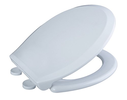 RunFine RFTS018S Round Plastic Toilet Seat, 17Inch
