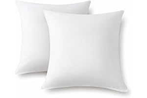 Homegar Throw Pillow Inserts Square Decorative Pillows Cushion for Couch Bed Sofa, 20x20 inches, Set of 2pcs
