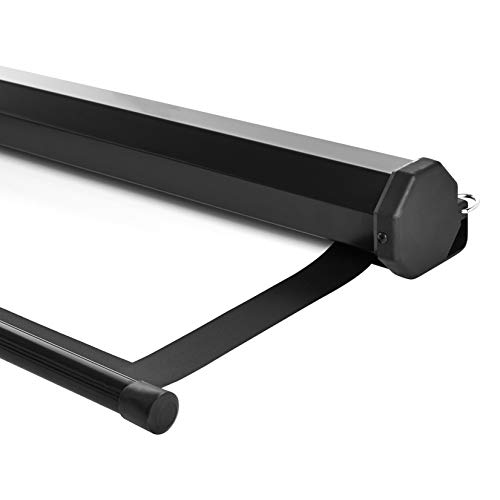 Amazon Basics 169 Pull Down Projector Screen 80 Inch, White Pricepulse