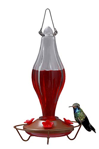 Amazon Com Chilipet Durable Metal Bottle Antique Glass