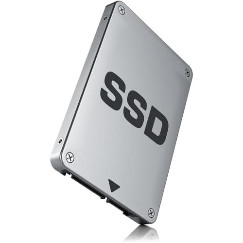 Ernitec 512GB 24/7 SSD Marca