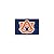 NCAA Licensed Heavy Weight Nylon Fan Banner