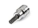 TEKTON 1376 3/8-Inch Drive by 6 mm Hex Bit Socket, Cr-V