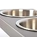 PetFusion Elevated Dog Bowls in Premium Anodized Aluminum Stand (Tall 8