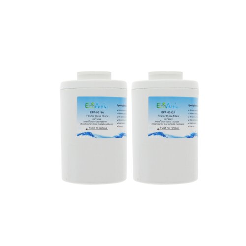 EcoAquaEFF6013A Refrigerator Water Filter Cartridge, 2Pack